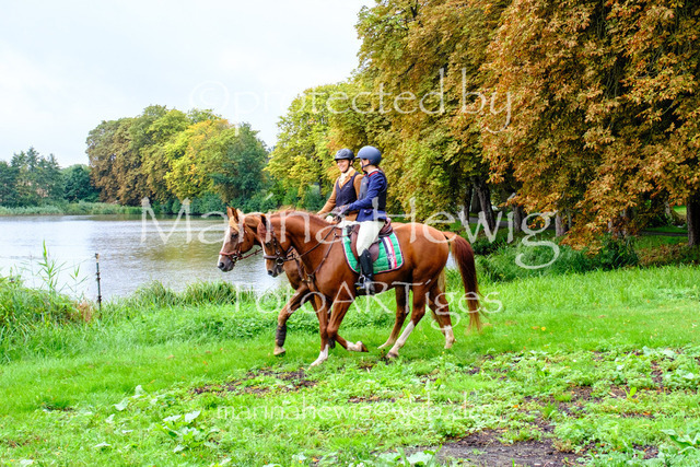 Jagd Kletkamp 26-9457_MarinaHewig | Fotografie, FotoArt, PferdesportArt, Pferdesportfotografie, Landschaftsfotografie, Reisefotografie, Reise, Pferde - Realisiert mit Pictrs.com