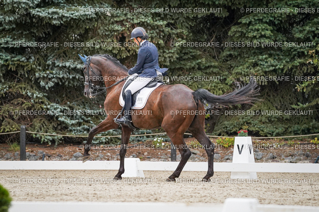 DSC09559 | Pferdegrafie