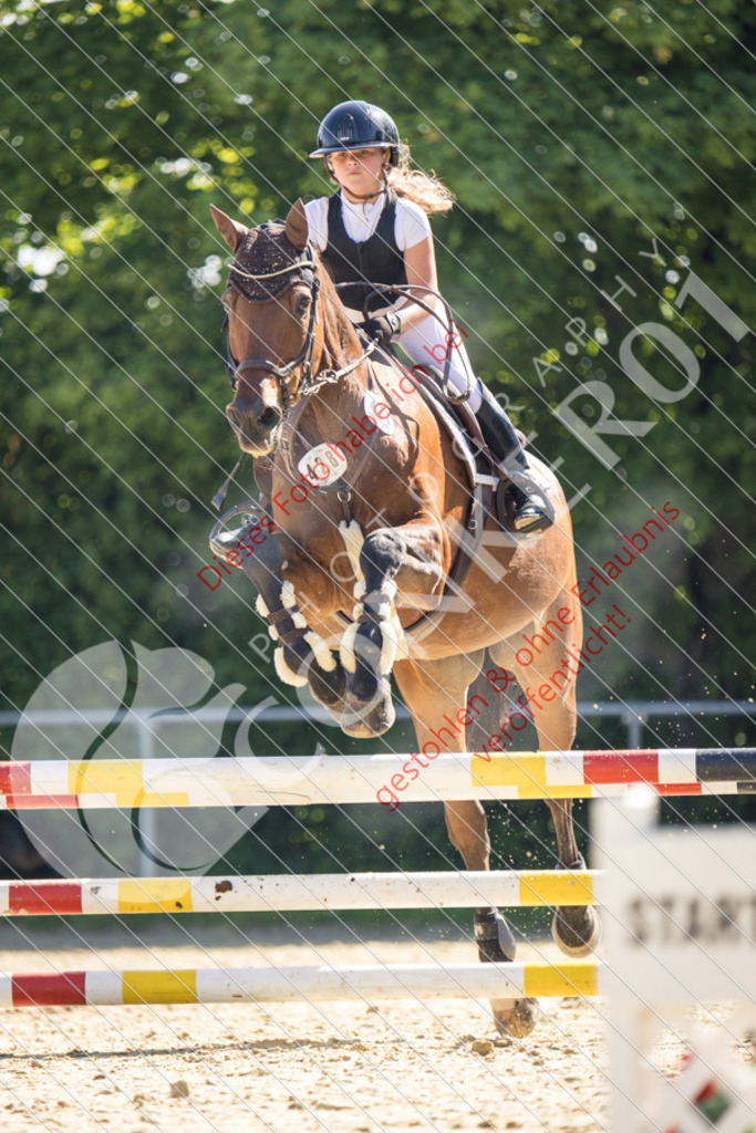 IMG_2952 | Sport-, Event- und Tierfotos in Profiqualität. Einfach auswählen, bestellen und herunterladen. Dein Moment – perfekt festgehalten.