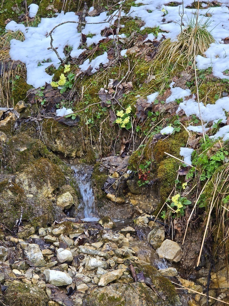 20250418_160458 | Heilkarten - Realisiert mit Pictrs.com