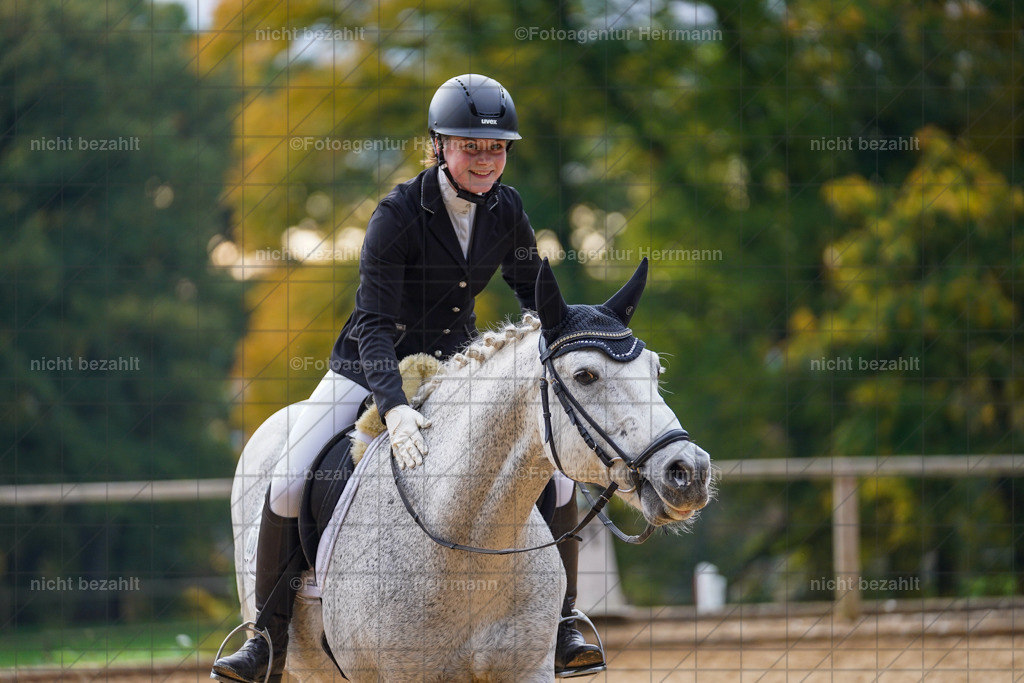 20221008-FAH00744 | Diessen am Ammersee, 2022, Dressur- und Springturnier, Reitsportbilder, Turnierfotografen Bayern, Pferdefotografen, Fotoagentur Herrmann, Turnierbilder