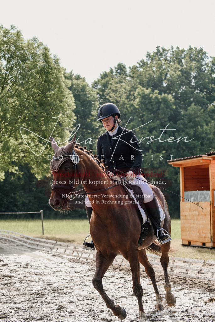 DSC_9245 | Pferde- und Turnierfotografie in Westsachsen. Pferdeportraits, Auftragszeichnungen und intuitive Kunst.