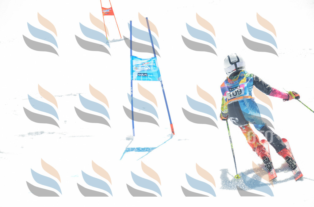 _ELE5884 | holidayphoto