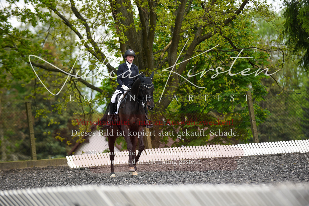 20230513_JK-Röhrsdorf-17-290 | Pferde- und Turnierfotografie in Westsachsen. Pferdeportraits, Auftragszeichnungen und intuitive Kunst.