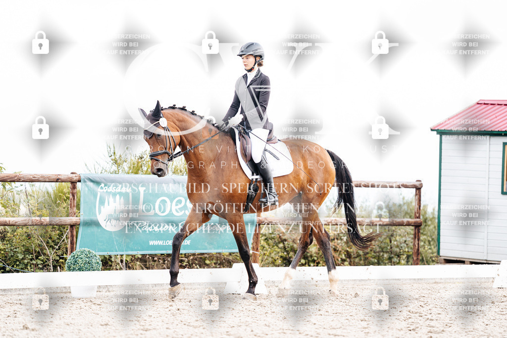 CK901000 | Turnierfotografie Pferdefotografie Trier Rheinland-Pfalz Pferdesport Reitsport Tierfotografie Sportfotografie Pferdevideo Pferdevideografie Equestrianvideography equestrianphotography  - Realisiert mit Pictrs.com