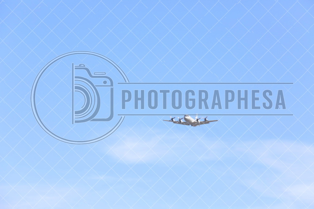 IMG_8778 | photographesa-joergens - Realisiert mit Pictrs.com