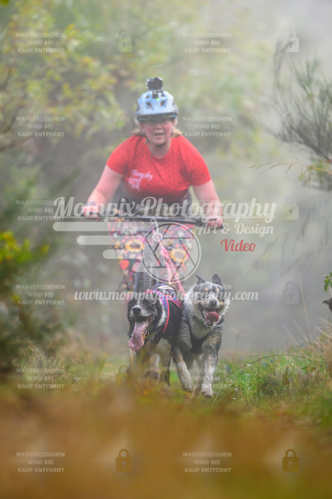 MompixPhotography_20TSB_E4_DS2-3 | PayLife