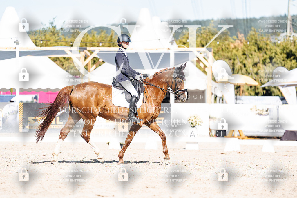 CK908379 | Turnierfotografie Pferdefotografie Trier Rheinland-Pfalz Pferdesport Reitsport Tierfotografie Sportfotografie Pferdevideo Pferdevideografie Equestrianvideography equestrianphotography  - Realisiert mit Pictrs.com