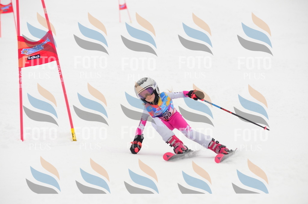 C1372 | holidayphoto