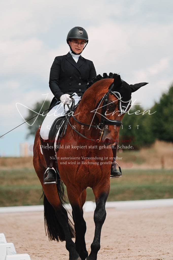 DSC_4371 | Pferde- und Turnierfotografie in Westsachsen. Pferdeportraits, Auftragszeichnungen und intuitive Kunst.