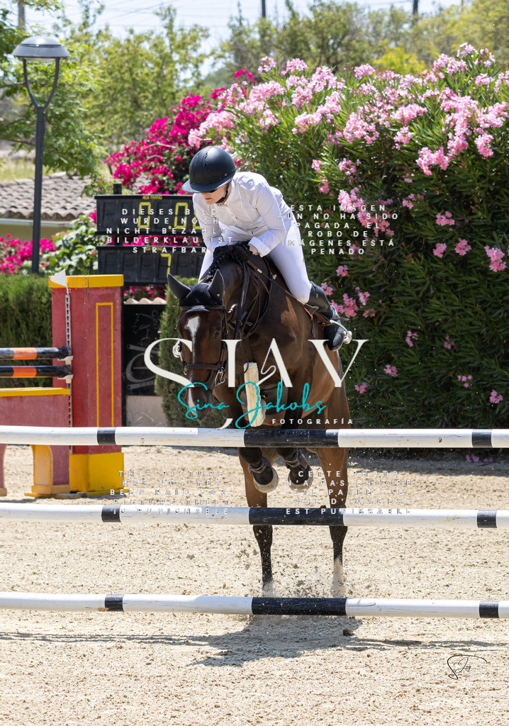 IMG_7397 | s-jay-photography - Realisiert mit Pictrs.com