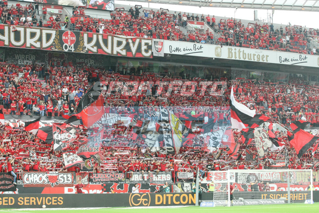 Bayer 04 Leverkusen - Borussia Mönchengladbach | Nordkurve Leverkusen - © Sportfoto-Sale (MK) - Realisiert mit Pictrs.com