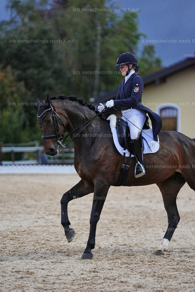 8_2-198-DRESSUR S_  -Marixx-4638 | working equitationturnier fotograf videograf stoibphotography marixx film working equitation deutschland reitsport turnierfotografie eventfotografie equestrian events