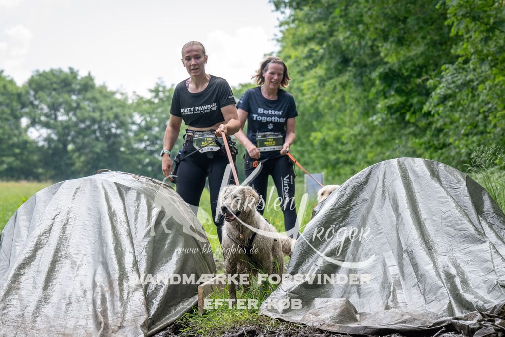 1114_ZZ92095 | kk-dogfotos