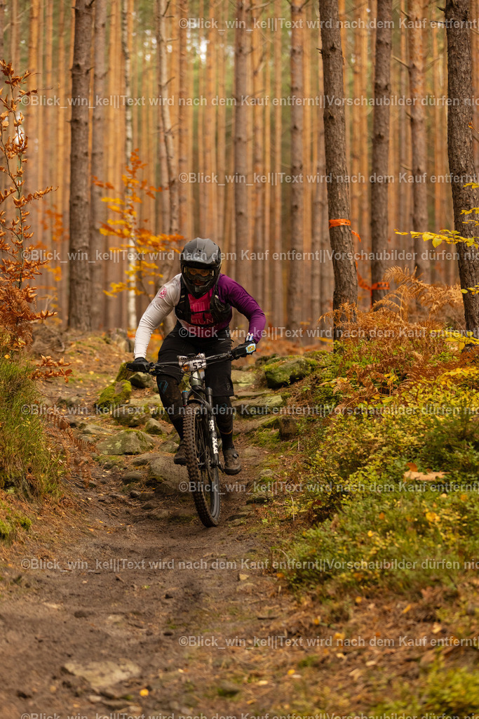 E68A2792 | blick_win_kel