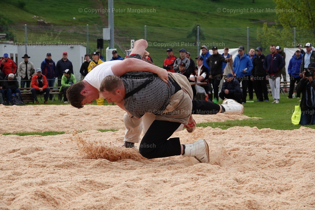 DSC00636 | Schwingen - Realisiert mit Pictrs.com