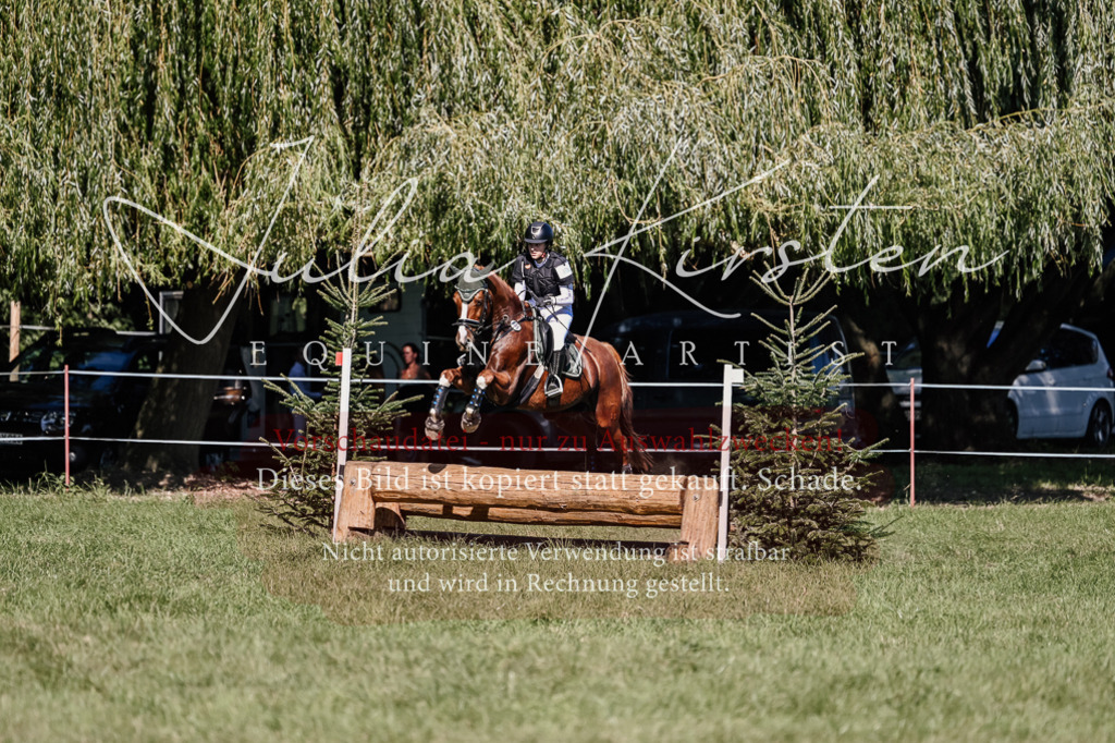DSC_3164 | Pferde- und Turnierfotografie in Westsachsen. Pferdeportraits, Auftragszeichnungen und intuitive Kunst.