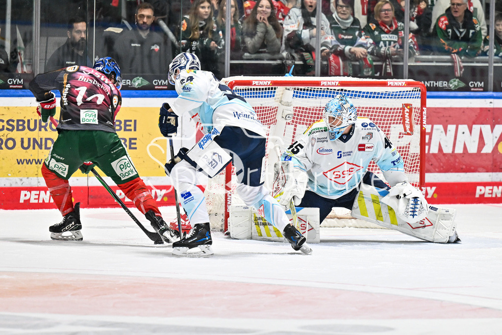 Augsburger Panther - Dresdner Eislöwen | AUGSBURG, DEUTSCHLAND - 06. MÄRZ: im Duell D. J. BUSDEKER (Augsburger Panther 14) und Simon KARLSSON (Eislöwen Dresden 24) vor Juho OLKINUORA (Dresdner Eislöwen 45) während dem Match zwischen den Augsburger Panthern und den Dresdner Eislöwen am 49. Spieltag der Penny DEL im Curt Frenzel Stadion