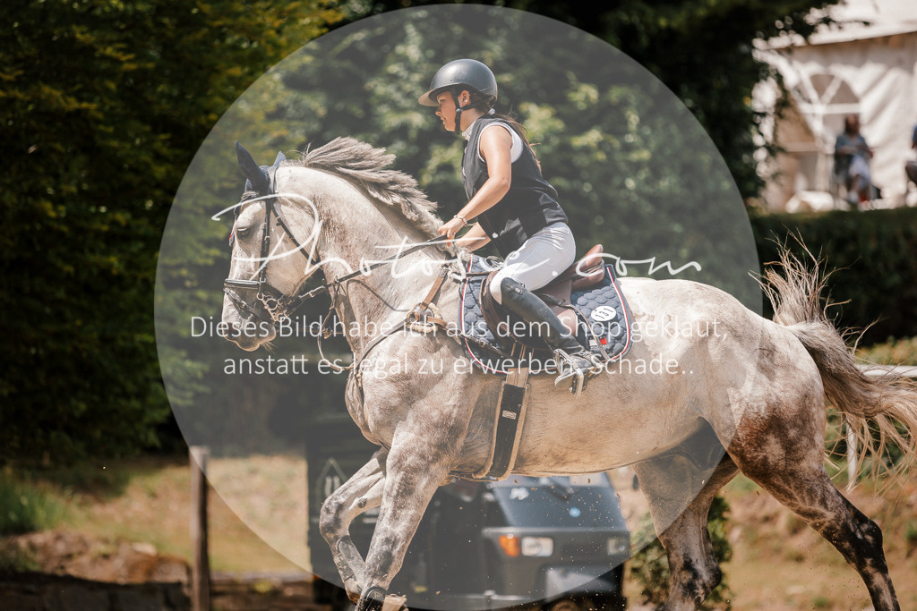 3I6A7847 | Stimmungsvolle Portraits und Reitsportfotografie im Ruhrgebiet und im Münsterland.

Pferdefotografie, Hundefotografie, Tierfotografie, Reportagen, Portraits von Tier und Mensch, Turnierfotografie in Bochum, Recklinghausen, Marl, Haltern am See, Dülmen.. - Realisiert mit Pictrs.com