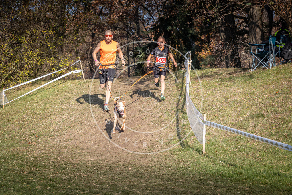 CaniXpix_0L8A8299 | Hundefotografie, Tierfotograf, Pfotenfotografie, Fotoshooting Hund, Hunde Portrait, Hundesport, Hundeportraits, Heideshooting, Hunde, Sportfotograf, Hundefotograf, Turnierhundsport, THS,  - Realisiert mit Pictrs.com