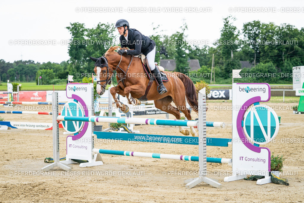 DSC05698 | Pferdegrafie