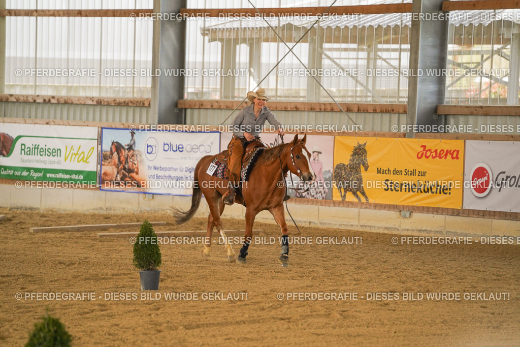 DSC04604 | Pferdegrafie