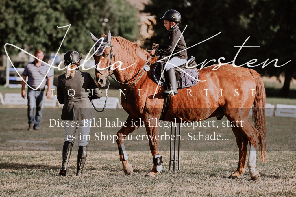 DSC_0083 | Pferde- und Turnierfotografie in Westsachsen. Pferdeportraits, Auftragszeichnungen und intuitive Kunst.