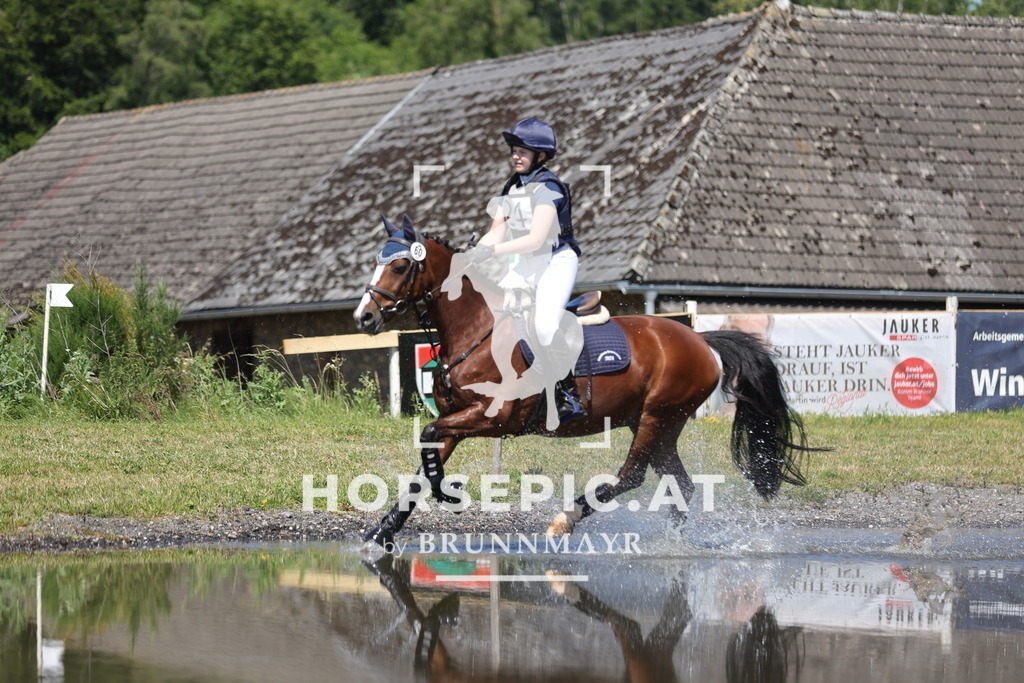 0P6A3496 | Willkommen bei Brunnmayr - Design & Fotografie – Ihrem Spezialisten für Reitturniere und Pferdeveranstaltungen in Oberösterreich, Salzburg und Bayern! Seit über 17 Jahren sind wir leidenschaftlich dabei.