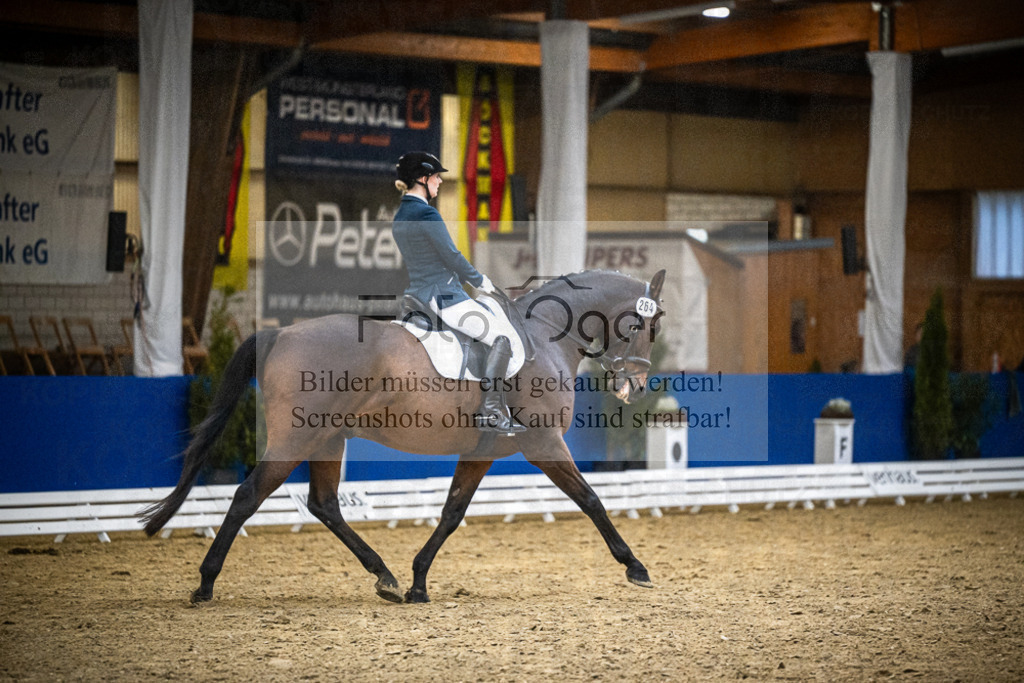 DOS_1161 | Entdecke hochwertige Reitturnierfotos von Foto Oger. Professionell, emotional und authentisch – jetzt Lieblingsmomente im Shop bestellen.Deutschlandweite Turnierfotografie. - Realisiert mit Pictrs.com
