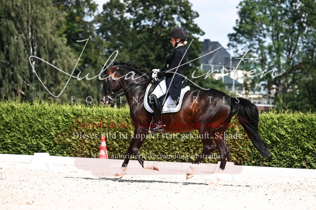 DSC_2970 | Pferde- und Turnierfotografie in Westsachsen. Pferdeportraits, Auftragszeichnungen und intuitive Kunst.