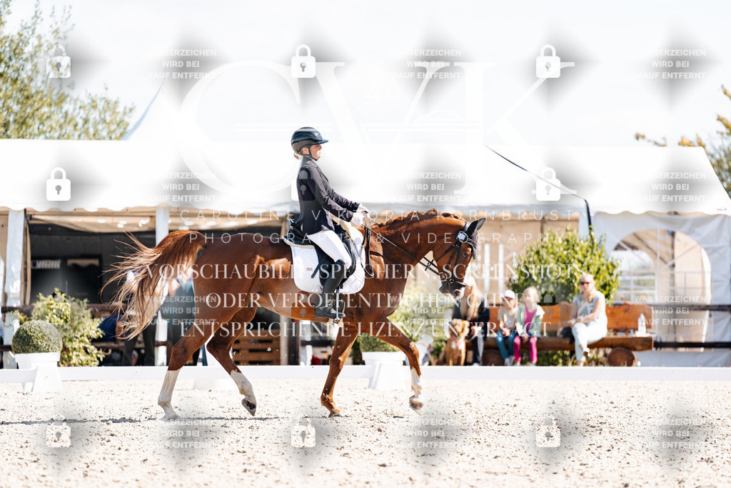 CK902876 | Turnierfotografie Pferdefotografie Trier Rheinland-Pfalz Pferdesport Reitsport Tierfotografie Sportfotografie Pferdevideo Pferdevideografie Equestrianvideography equestrianphotography  - Realisiert mit Pictrs.com