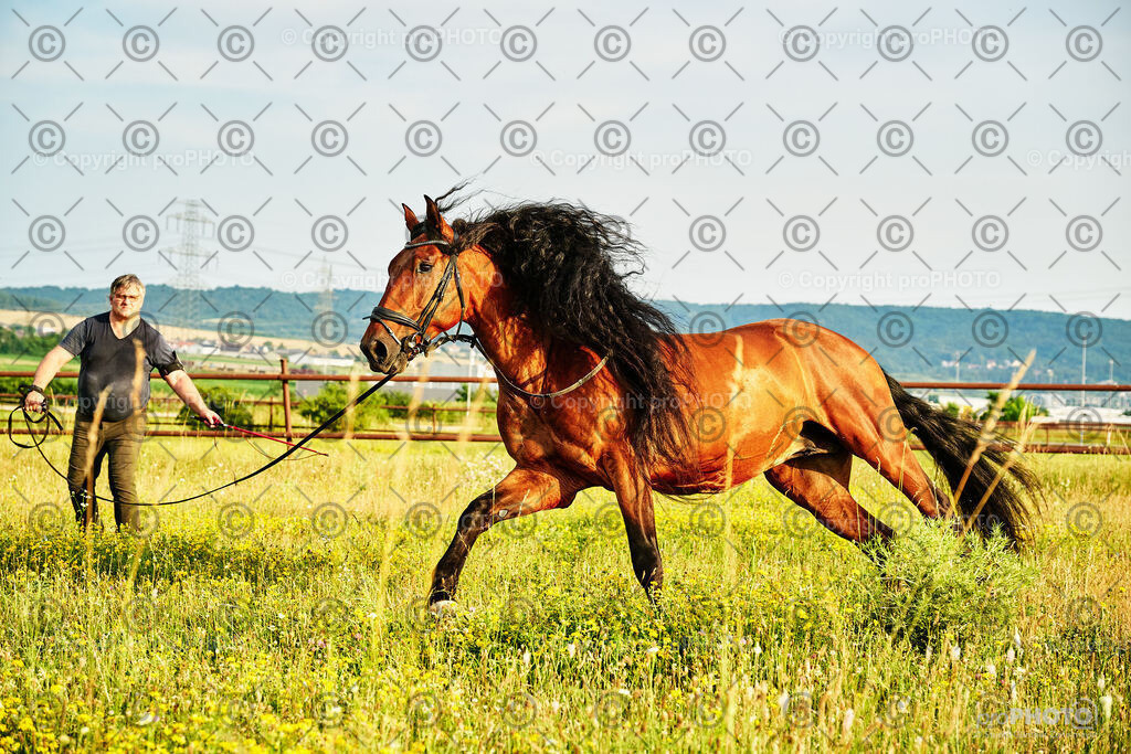 313_202406_Niki-Herodes_NZ9_0267 | proPHOTO - Realisiert mit Pictrs.com