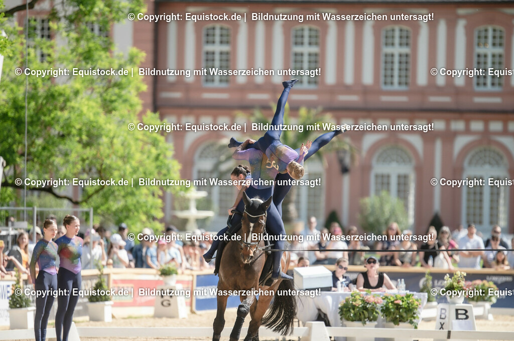 20230528_Voltigieren_NASPA_0454 | equistock