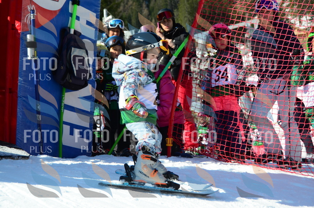 C4789 | holidayphoto