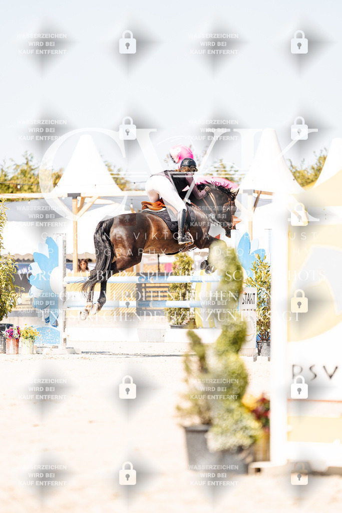 CK909429 | Turnierfotografie Pferdefotografie Trier Rheinland-Pfalz Pferdesport Reitsport Tierfotografie Sportfotografie Pferdevideo Pferdevideografie Equestrianvideography equestrianphotography  - Realisiert mit Pictrs.com