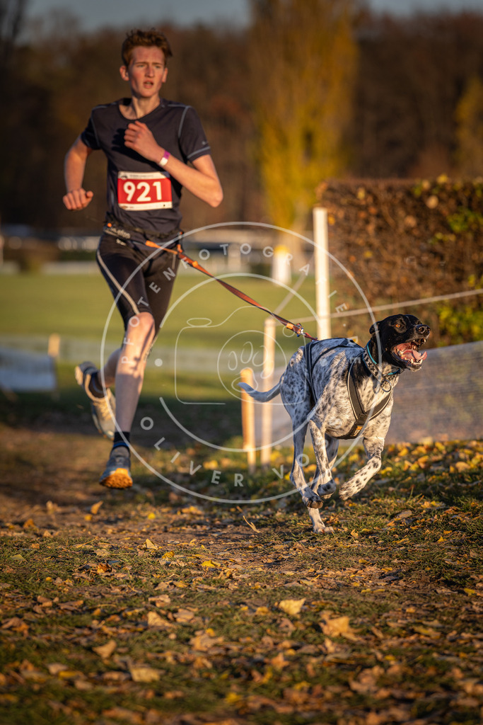 CaniXpix_DV3A4951 | Hundefotografie, Tierfotograf, Pfotenfotografie, Fotoshooting Hund, Hunde Portrait, Hundesport, Hundeportraits, Heideshooting, Hunde, Sportfotograf, Hundefotograf, Turnierhundsport, THS,  - Realisiert mit Pictrs.com