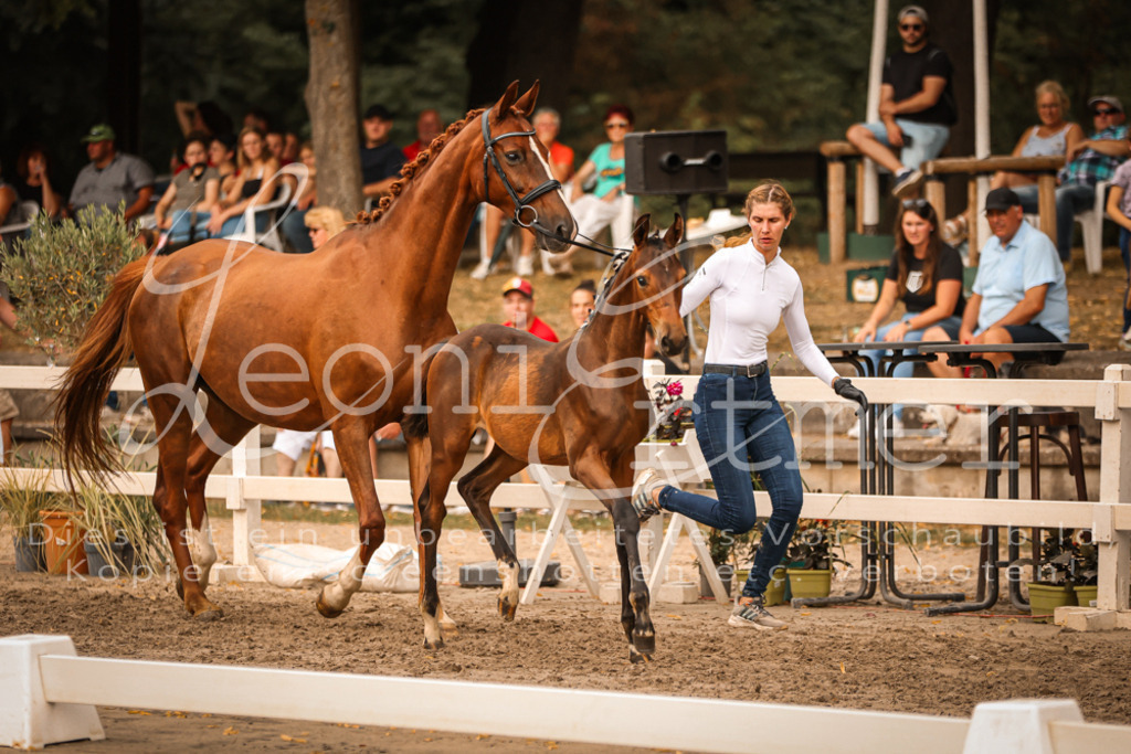 SaPA00299 | Leoni Ertmer Photography - Realisiert mit Pictrs.com