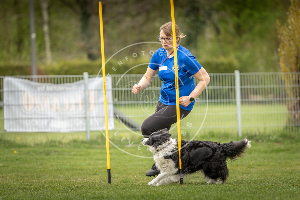 Pfotenfotografie_DV3A2063 | Hundefotografie, Tierfotograf, Pfotenfotografie, Fotoshooting Hund, Hunde Portrait, Hundesport, Hundeportraits, Heideshooting, Hunde, Sportfotograf, Hundefotograf, Turnierhundsport, THS,  - Realisiert mit Pictrs.com