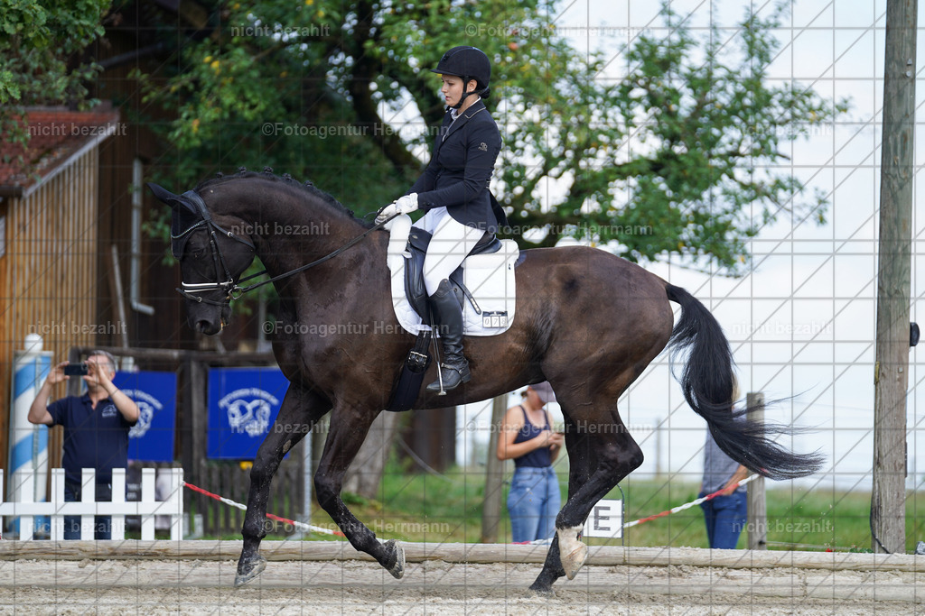 20230826-FAH05440 | Forstinning, 2023, Dressurturnier, Turniersportbilder, Turnierfotografen Bayern, Fotoagentur Herrmann, Reitsportfotografie, Turnierbilder