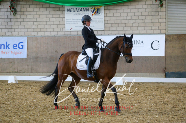 IMG_2811 | Turnierfotos kaufen im Webshop von Daniel Kuhl Photography – entdecke professionelle Reitsportfotos aus Turnieren & Events. Hochwertige Turnierbilder online bestellen & sichern. Jetzt Fotos von Reitsportturnieren kaufen!
