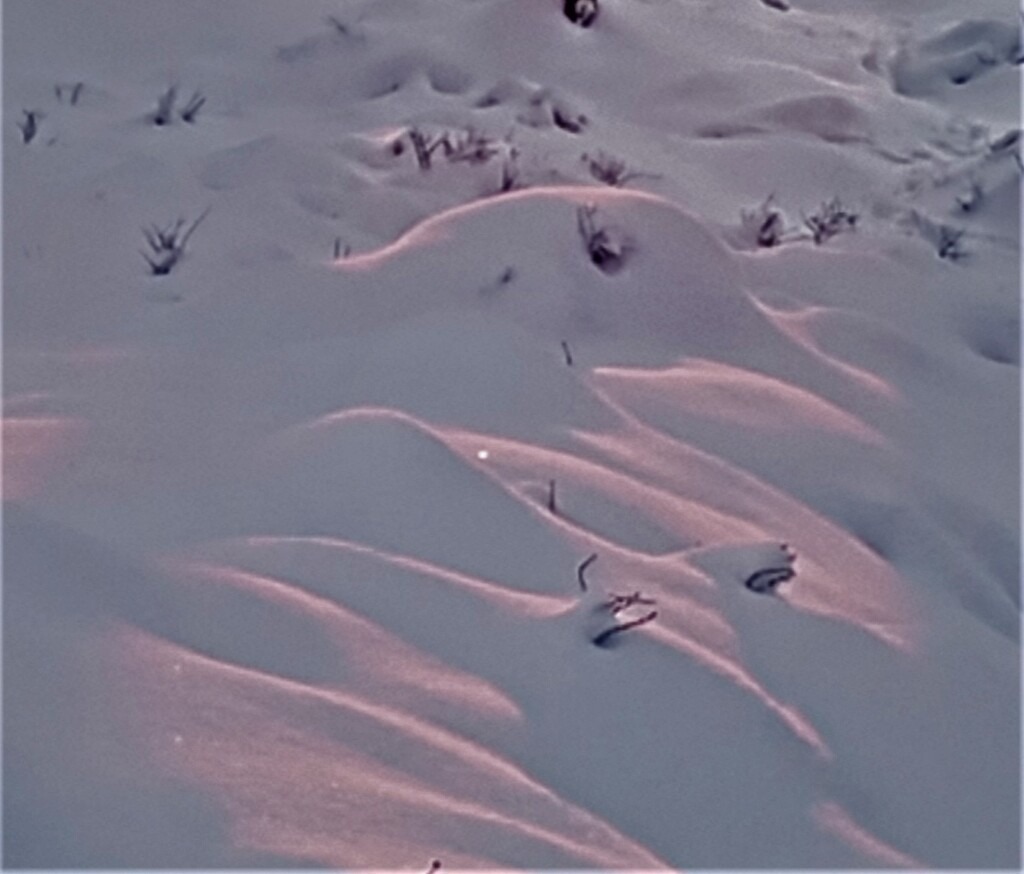 Winterlicht2 | klausulrichmoeller