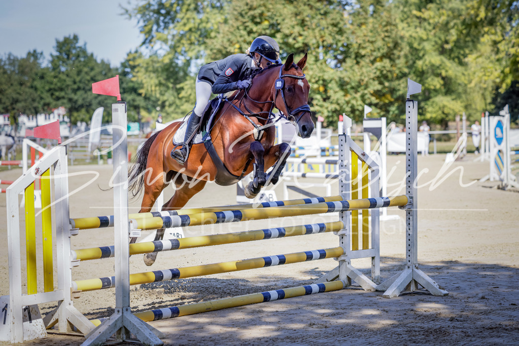 20250906-_3LI3699 | Tierfotografie Pferde, Hunde, Katzen, Haustiere.
Turnierfotografie Reitturniere, Reiten, Springreiten, Dressur in Hanau, dem Main-Kinzig-Kreis und dem Rhein-Main- Gebiet um Frankfurt