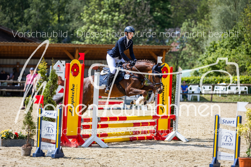 Donop24-SprRW-002 | MomenTaufnahmen Pferdesportfotos