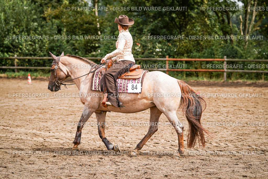 DSC04686 | Pferdegrafie