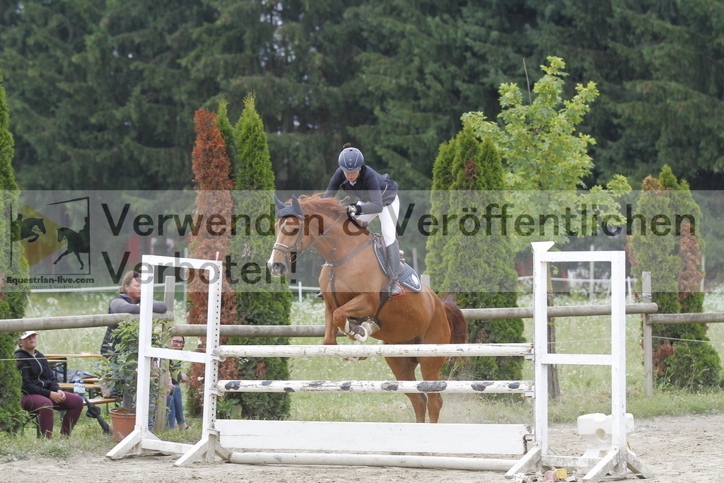 _MG_0317 | equestrian-live-com