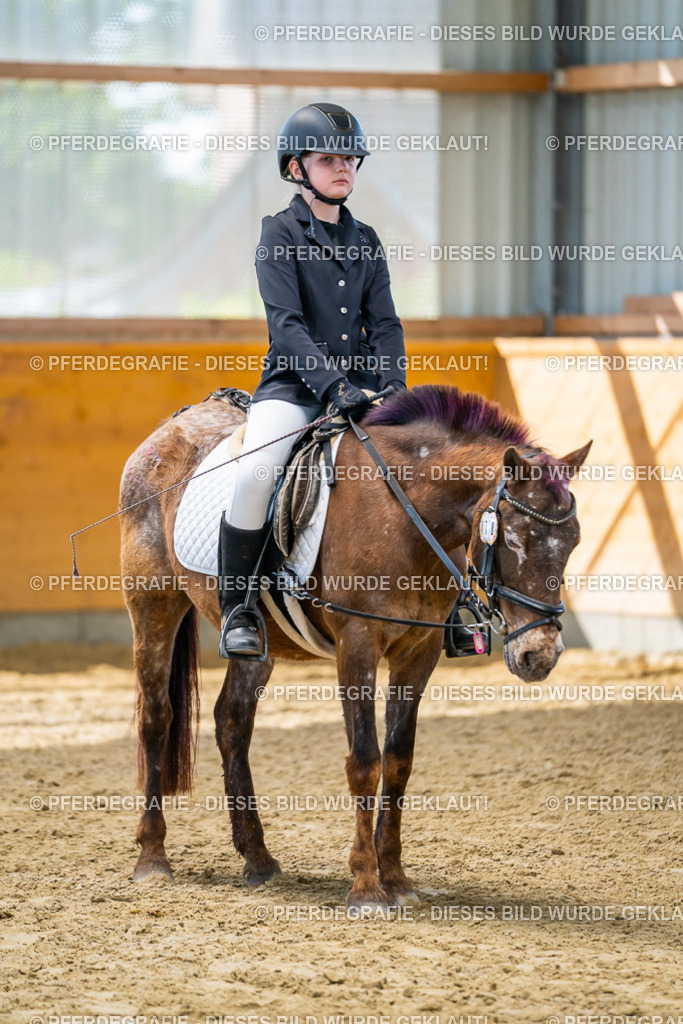 DSC01446 | Pferdegrafie