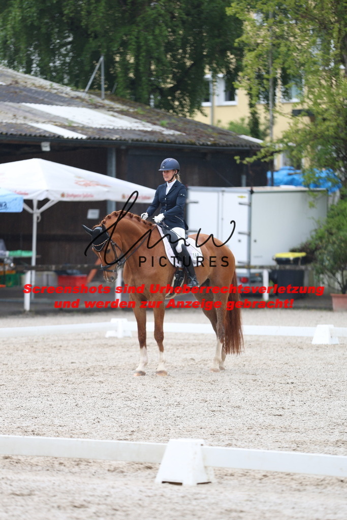 A40A8184 | lmwpictures - Realisiert mit Pictrs.com