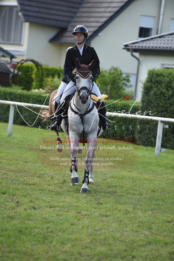 DSC_8993 | Pferde- und Turnierfotografie in Westsachsen. Pferdeportraits, Auftragszeichnungen und intuitive Kunst.