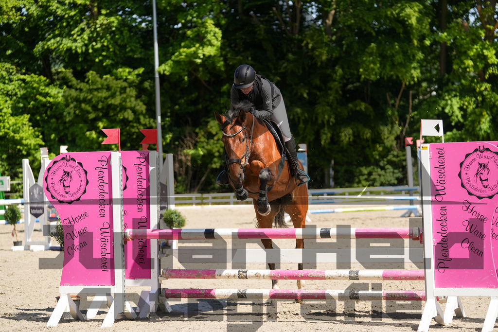 DSC02192 | Julian Held Fotografie - Realisiert mit Pictrs.com