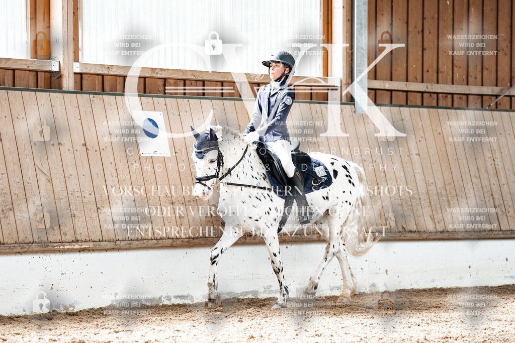 CK900065 | Turnierfotografie Pferdefotografie Trier Rheinland-Pfalz Pferdesport Reitsport Tierfotografie Sportfotografie Pferdevideo Pferdevideografie Equestrianvideography equestrianphotography  - Realisiert mit Pictrs.com